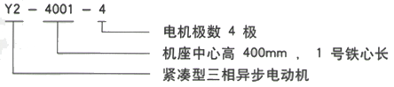 YR系列(H355-1000)高压YJTGKK6304-6三相异步电机西安西玛电机型号说明